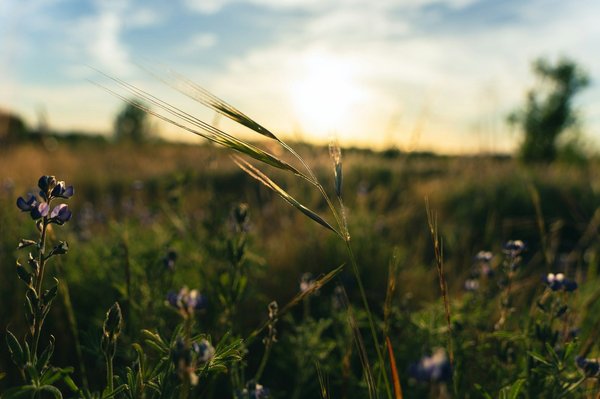 Choisir son sac kraft : basiques ou de couleur, unis ou fantaisie ?