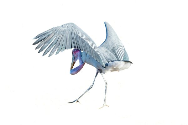 Sac en papier kraft : une solution professionnelle abordable et écologique